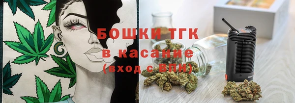 мдпв Козловка