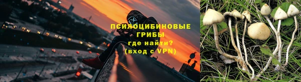 прущая мука Козельск