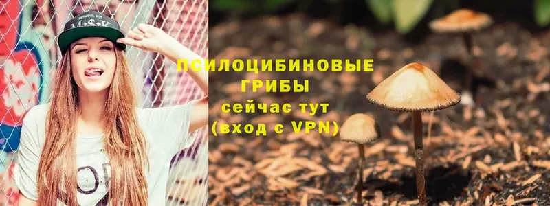 блэк спрут ССЫЛКА  как найти   Копейск  Псилоцибиновые грибы MAGIC MUSHROOMS 