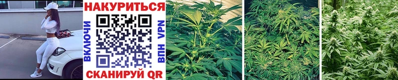Марихуана THC 21%  МЕГА ссылки  Копейск 